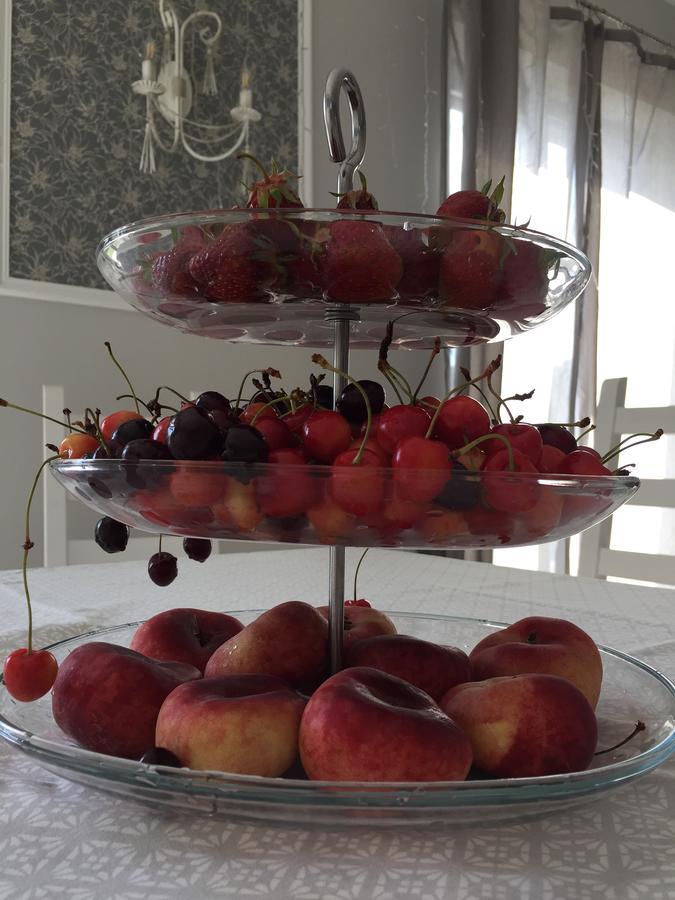 Shale Na Polotskoy Villa Babrujsk Esterno foto